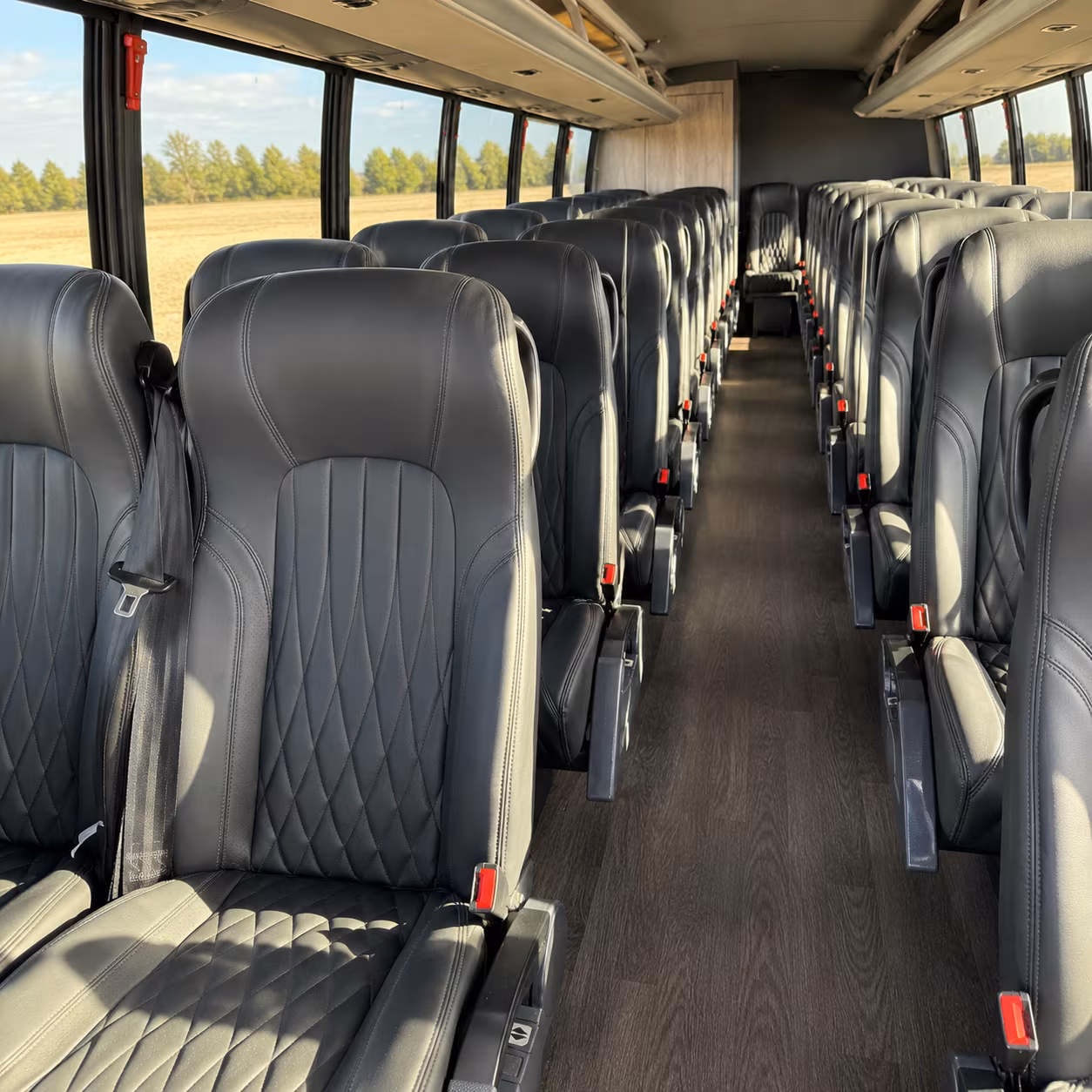 book the perfect ride for your next bachelor or bachelorette party 2