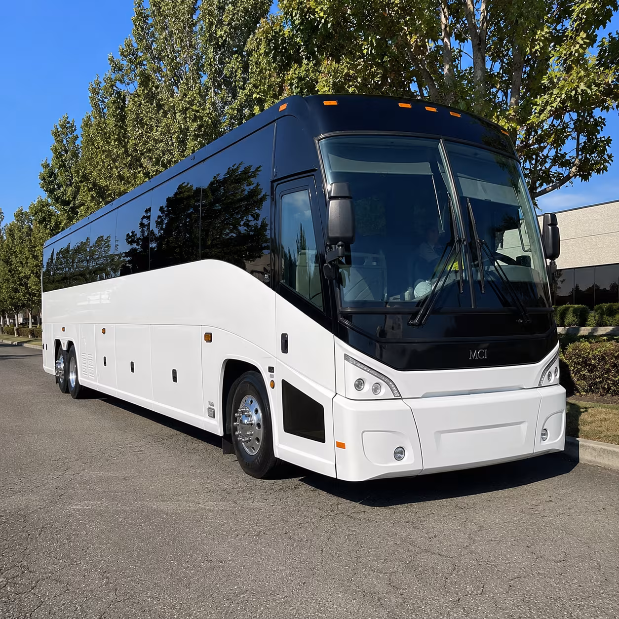 new haven 50 passenger charter bus
