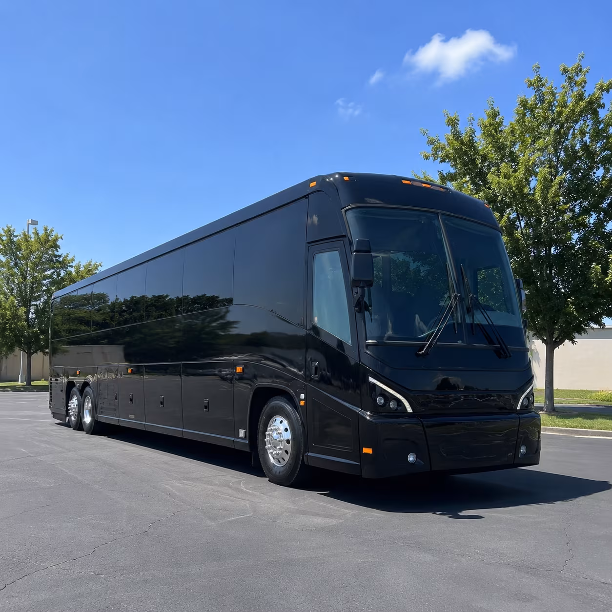 new haven 56 passenger charter bus